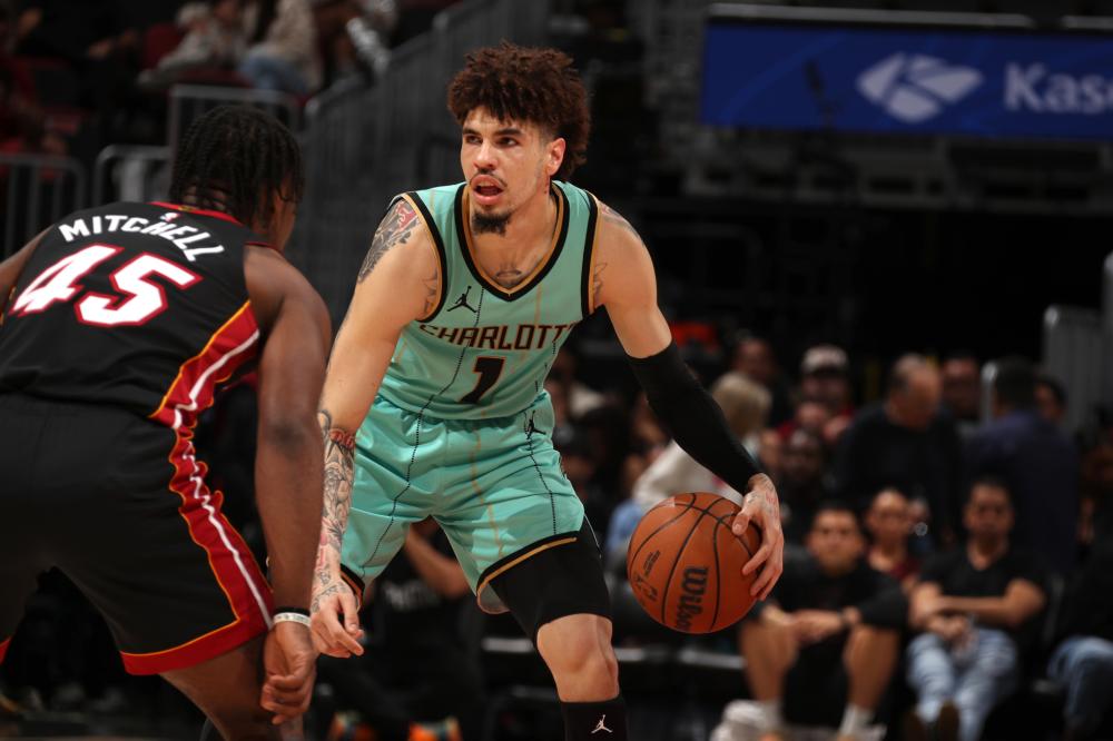 今年的亚冬 今年的亚冬